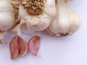 knoblauch-caraglio