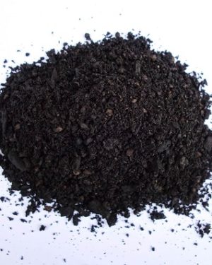 Mikrobiell aktivierte Pflanzen-Kohle