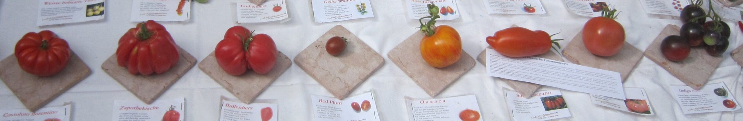 Waldhaus Odernheim: Permakultur-Saatgut & Essbarer Waldgarten